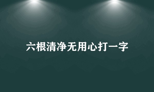 六根清净无用心打一字