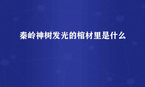 秦岭神树发光的棺材里是什么