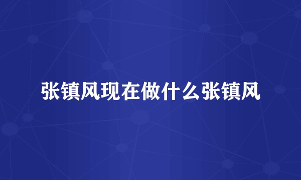 张镇风现在做什么张镇风