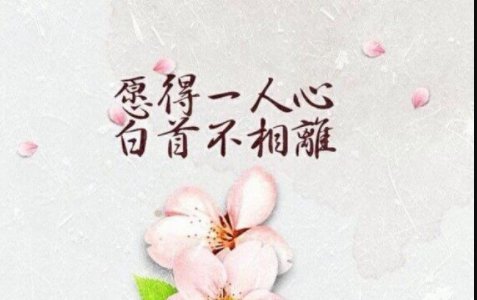 愿得一人心白首不相离是哪首诗里的?