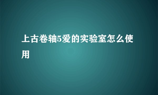 上古卷轴5爱的实验室怎么使用