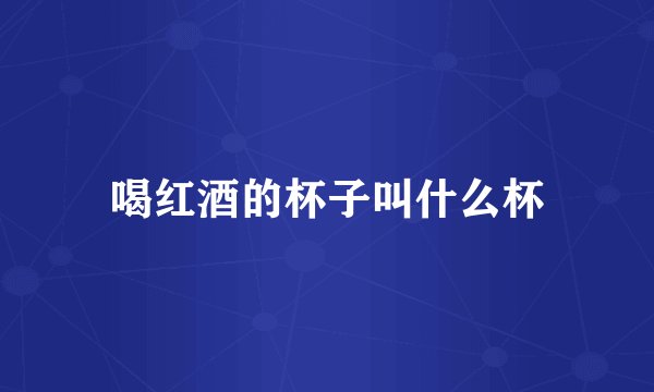喝红酒的杯子叫什么杯