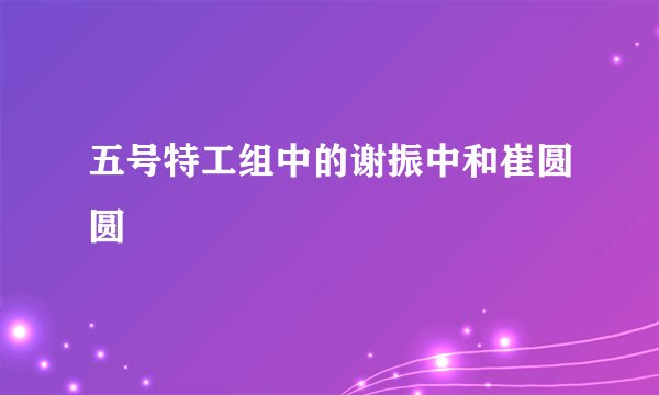 五号特工组中的谢振中和崔圆圆