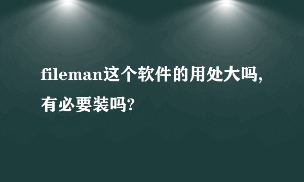 fileman这个软件的用处大吗,有必要装吗?