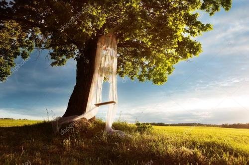 河南一男子在一棵绿化树上“荡秋千”，男子的行为存在哪些隐患？