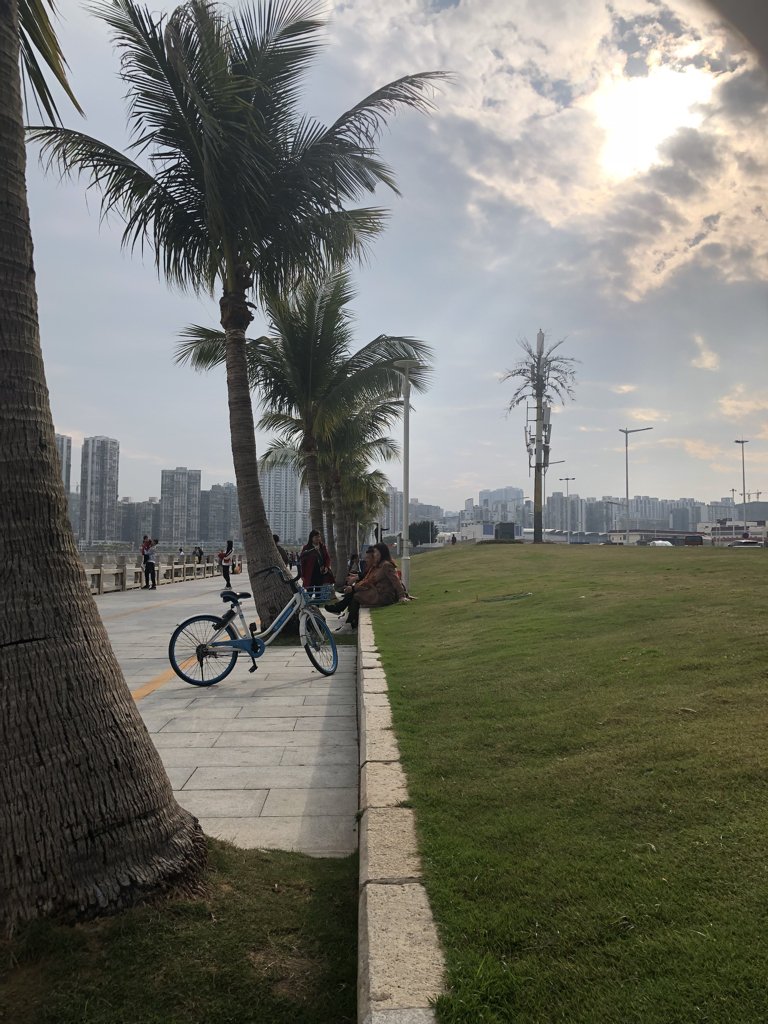 你陪我前程似锦我陪你慢慢长大啥意思？