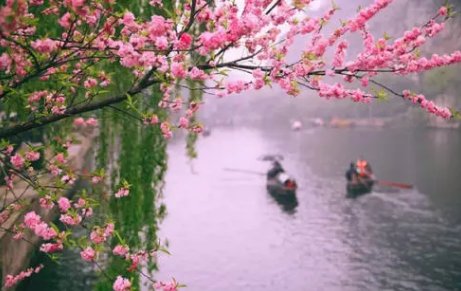 落花是几月？