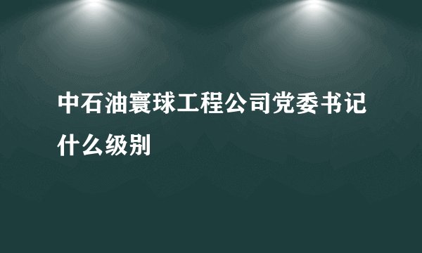 中石油寰球工程公司党委书记什么级别