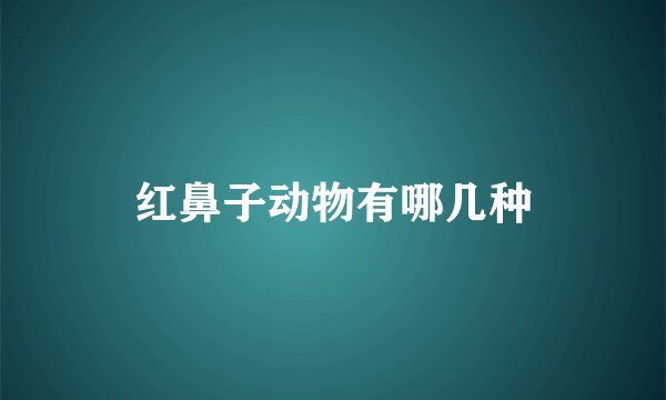 红鼻子动物有哪几种