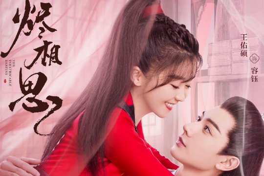 烬相思剧情分集介绍大全