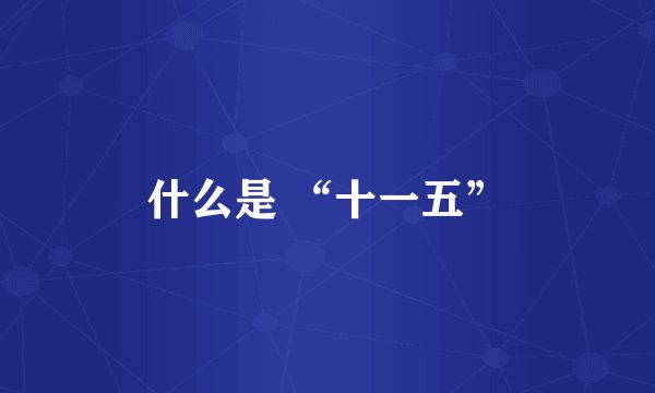 什么是 “十一五”
