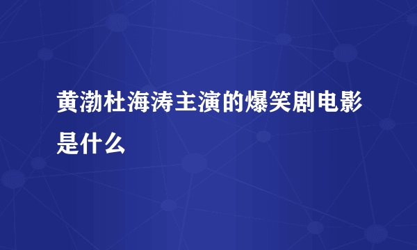 黄渤杜海涛主演的爆笑剧电影是什么
