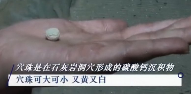 陕西哪里发现天然石元宵？