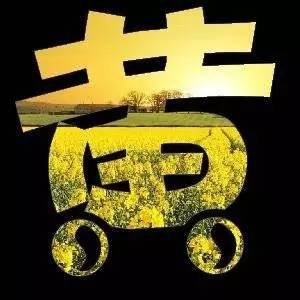 河南一村400多人姓耍,你们村什么姓最多?