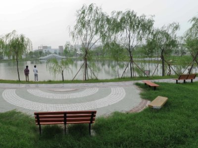 山东医学大学排名一览表