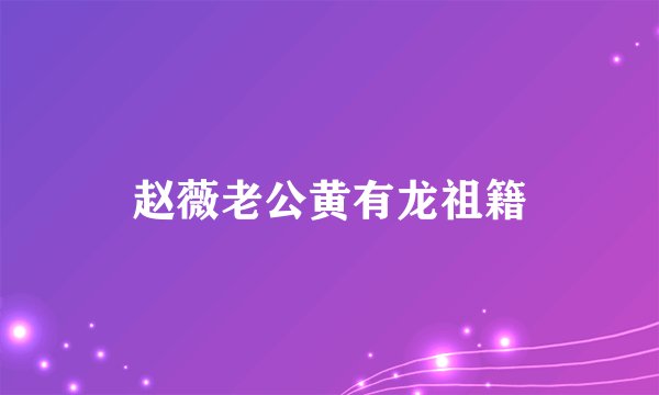 赵薇老公黄有龙祖籍