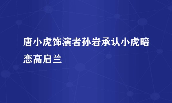 唐小虎饰演者孙岩承认小虎暗恋高启兰