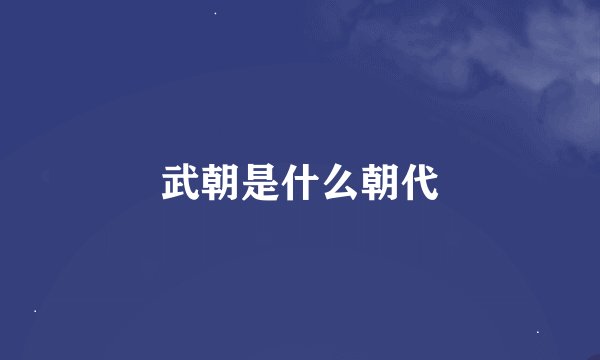 武朝是什么朝代