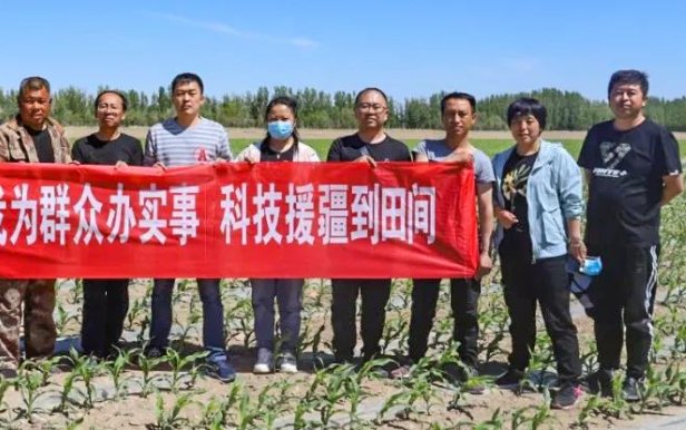 对口招生什么意思