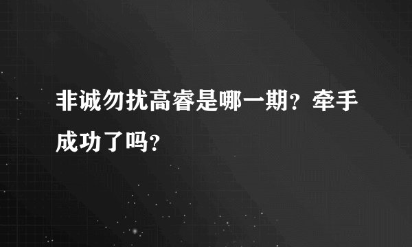 非诚勿扰高睿是哪一期?牵手成功了吗?