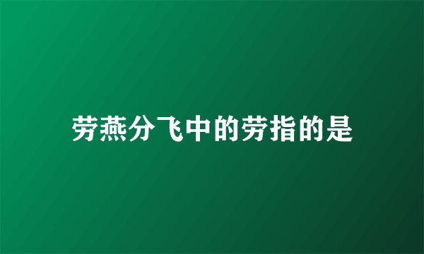 劳燕分飞中的劳指的是