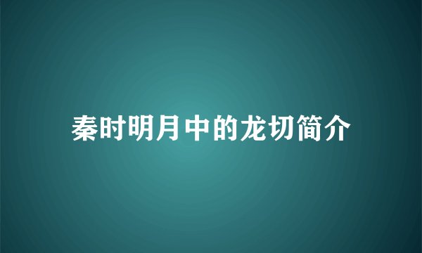 秦时明月中的龙切简介