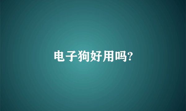 电子狗好用吗?