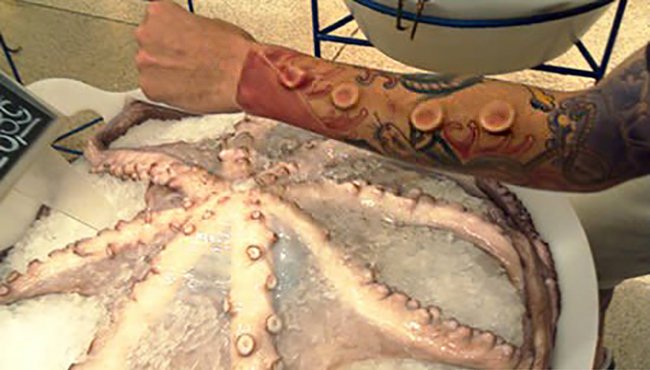 人体改造师的内容介绍