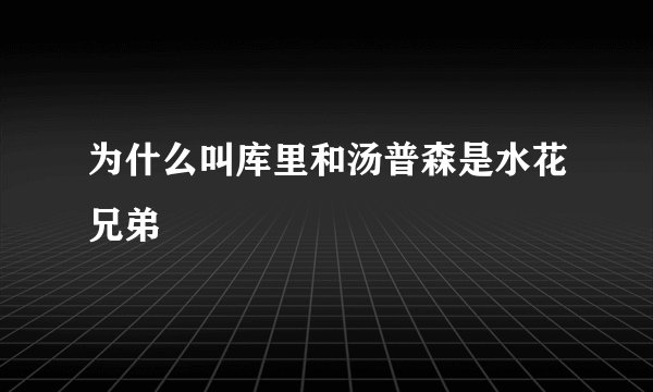 为什么叫库里和汤普森是水花兄弟