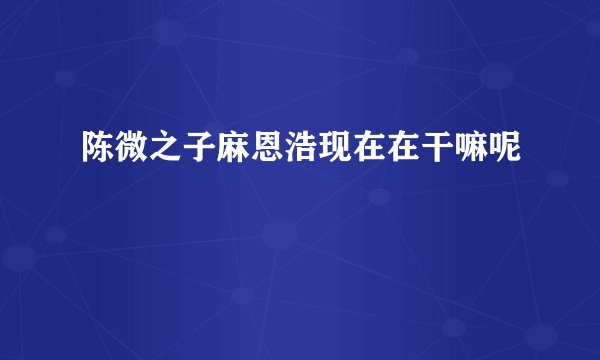 陈微之子麻恩浩现在在干嘛呢