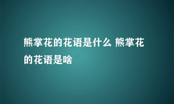 熊掌花的花语是什么 熊掌花的花语是啥