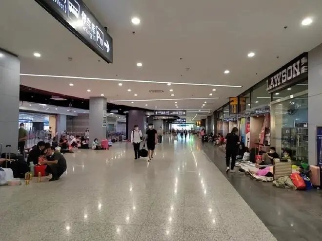 充上热搜！“躲在虹桥卫生间”的阿芬找到工作，阿芬有着怎样的求职经历？