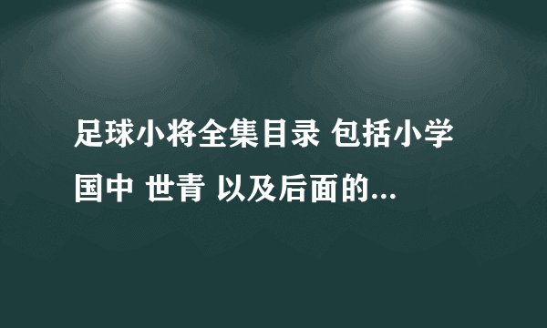 足球小将全集目录 包括小学 国中 世青 以及后面的世界杯 的目录 谢谢