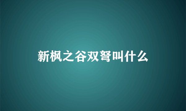 新枫之谷双弩叫什么