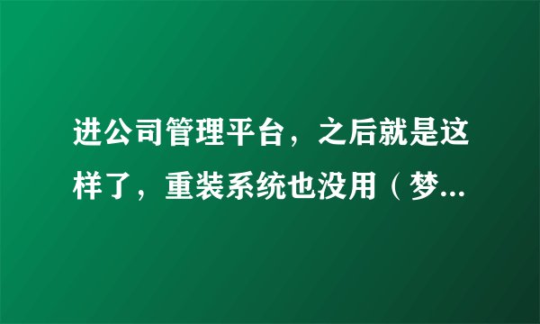 进公司管理平台，之后就是这样了，重装系统也没用（梦龙即时通的通讯软件）