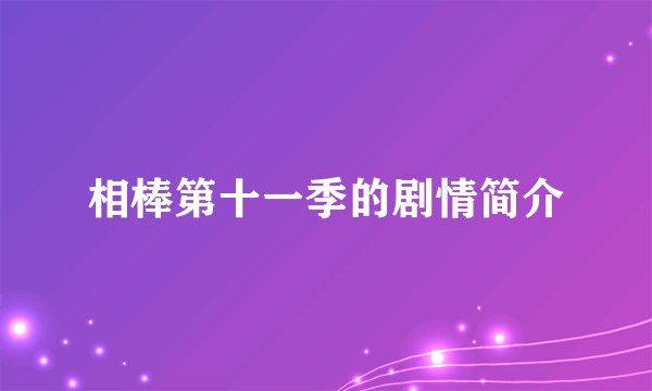 相棒第十一季的剧情简介