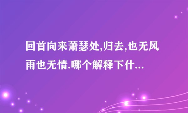 回首向来萧瑟处,归去,也无风雨也无情.哪个解释下什么意思啊？