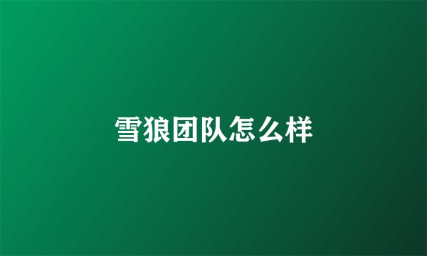 雪狼团队怎么样