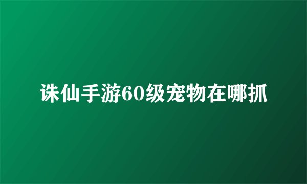 诛仙手游60级宠物在哪抓