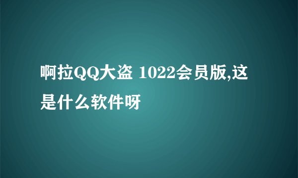 啊拉QQ大盗 1022会员版,这是什么软件呀