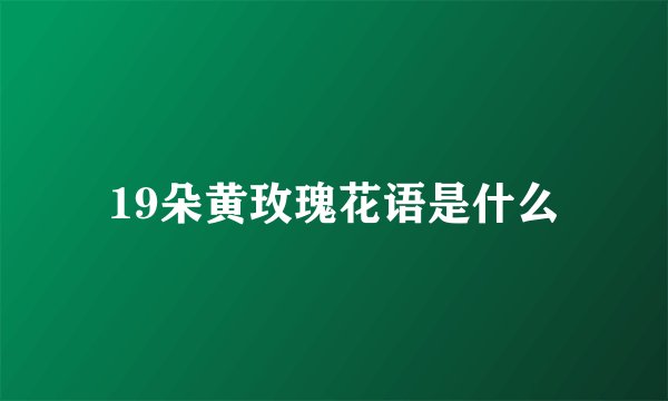19朵黄玫瑰花语是什么