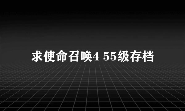 求使命召唤4 55级存档