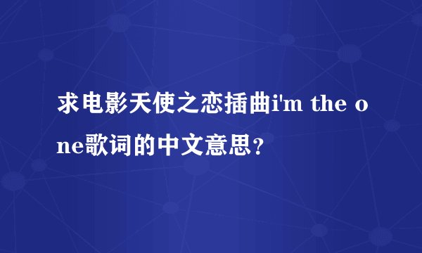 求电影天使之恋插曲i'm the one歌词的中文意思？