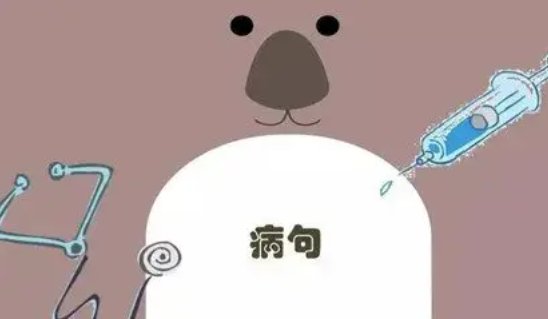 值此新春佳节之际有语病吗？