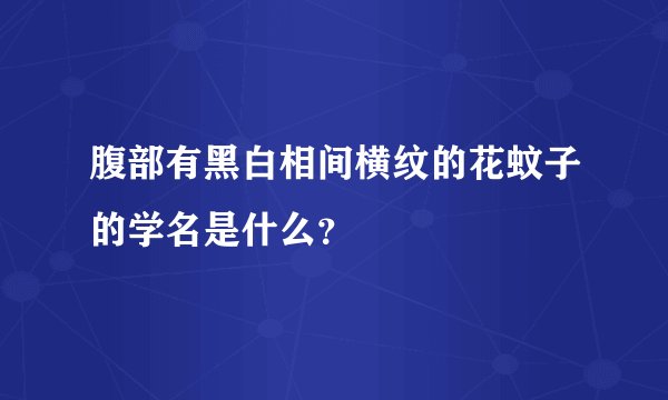 腹部有黑白相间横纹的花蚊子的学名是什么？