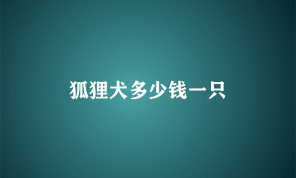 狐狸犬多少钱一只
