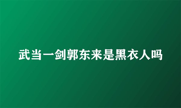 武当一剑郭东来是黑衣人吗