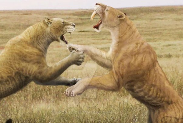 西伯利亚发现了4万年前幼狮化石，这化石有什么特别之处？