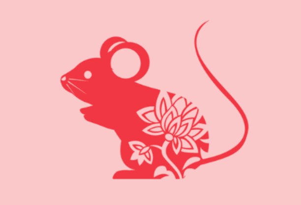 一手遮天猜一正确生肖
