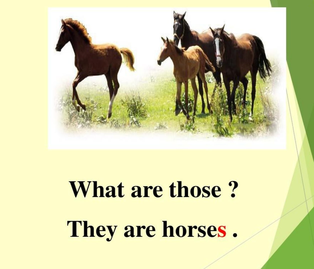 horses怎么读音
